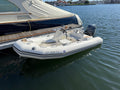 Custom Cruises & Celebrations